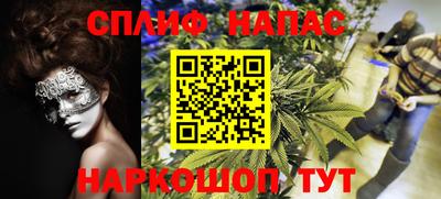 дурь Новодвинск