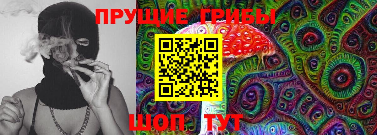 Чехов  наркота  Вход с VPN  Псилоцибиновые грибы Cubensis 